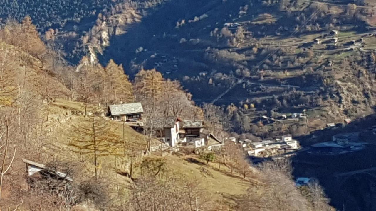 Chalet La Paz With Hotpot And Sauna Vila Törbel Exterior foto