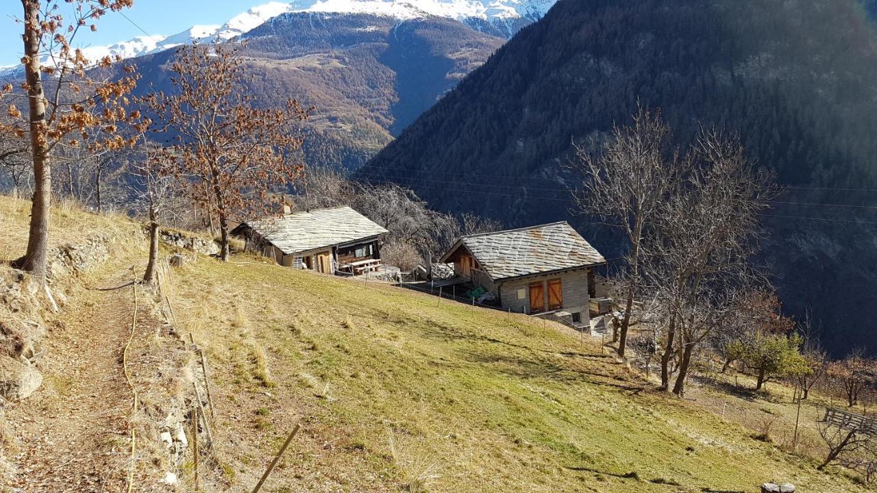 Chalet La Paz With Hotpot And Sauna Vila Törbel Exterior foto