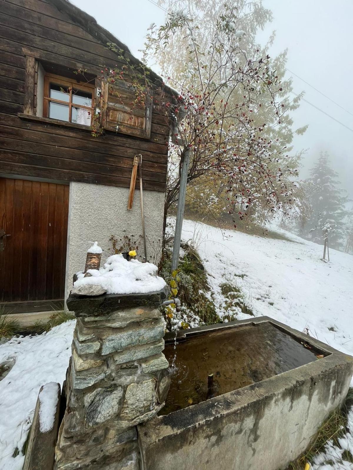 Chalet La Paz With Hotpot And Sauna Vila Törbel Exterior foto
