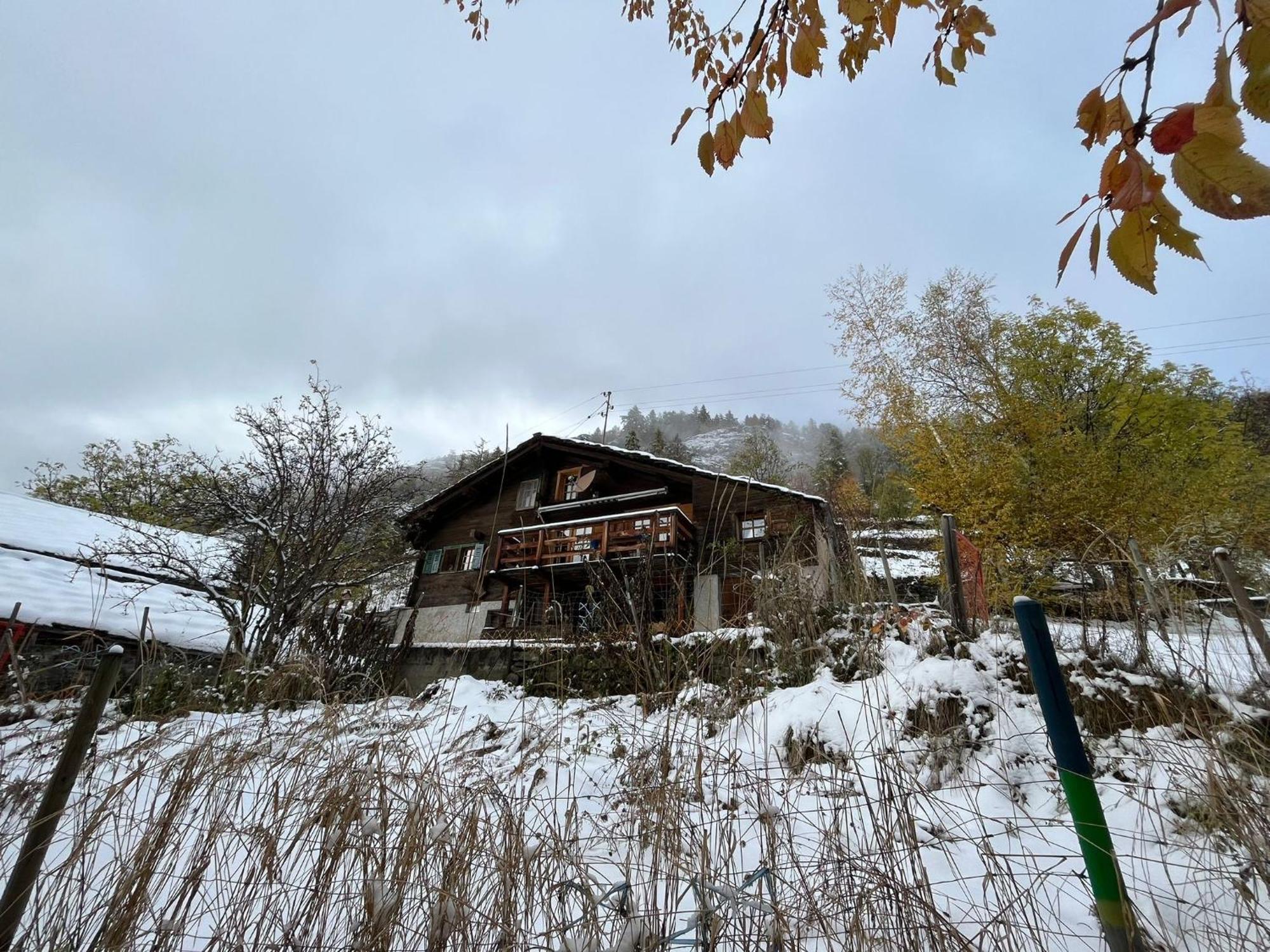Chalet La Paz With Hotpot And Sauna Vila Törbel Exterior foto